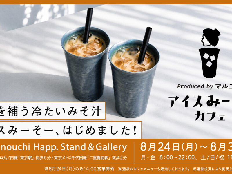 アイスみーそーはじめました。
